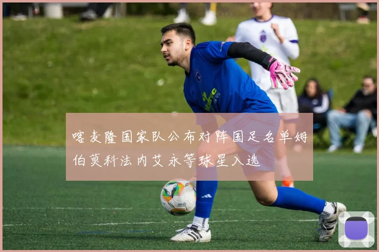 喀麦隆国家队公布对阵国足名单姆伯莫科法内艾永等球星入选