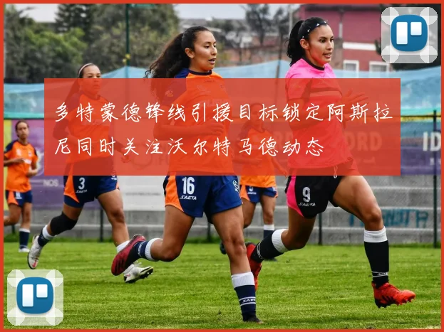 多特蒙德锋线引援目标锁定阿斯拉尼同时关注沃尔特马德动态
